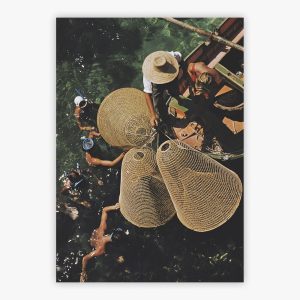 Snorkelling In The Shallows