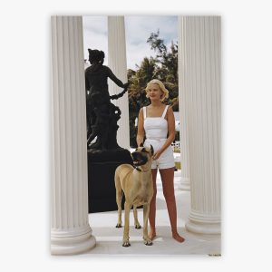 CZ Guest With Her Great Dane