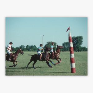 Polo Match