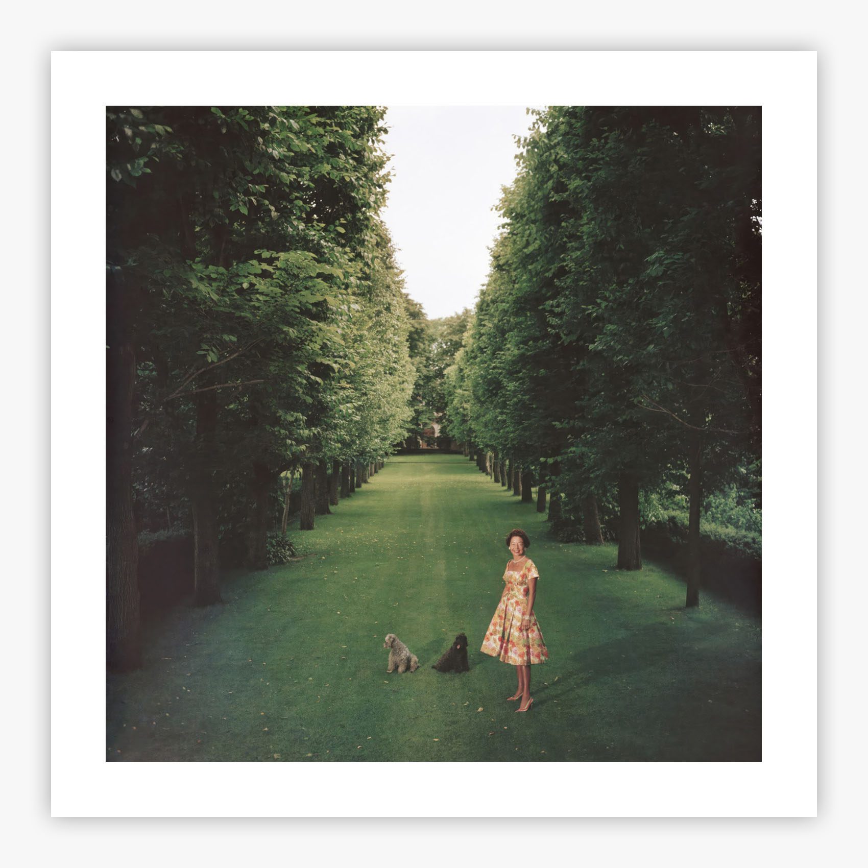 Mrs. A. Watson Armour III